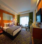Radisson Blu Hotel Ahmedabad
