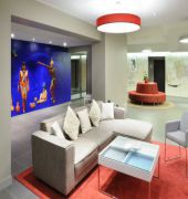 BEST WESTERN PLUS