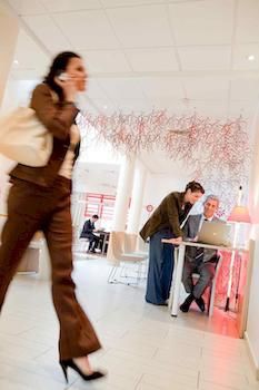 Hotel ibis Paris Orly Rungis
