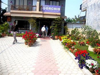 Hotel Orchid