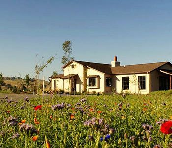 The Summit Lodge