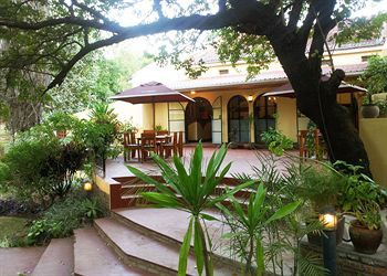 Villa 33