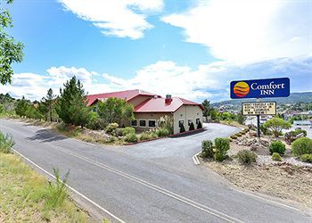 Comfort Inn Near Gila National Forest