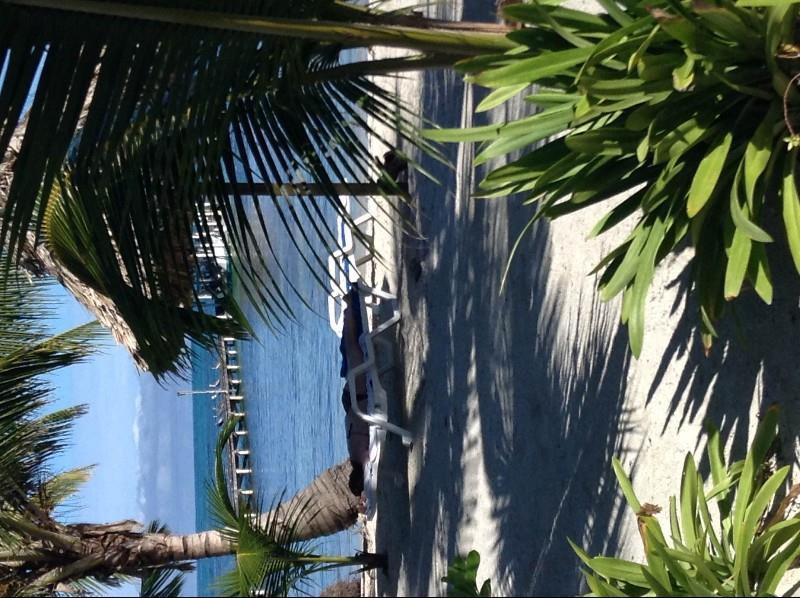 Royal Caribbean Resort