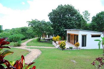 GumboLimbo Jungle Resort