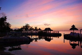 Amy Slate's Amoray Dive Resort