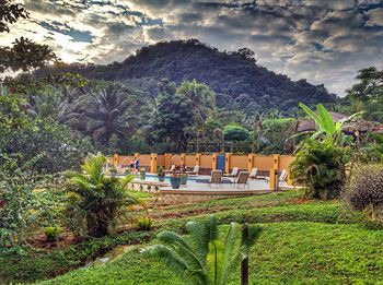 Sleeping Giant Rainforest Lodge
