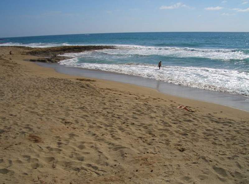 Venus Beach Hotel