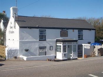 Plume Of Feathers