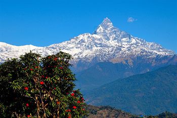 Himalayan Deurali Resort