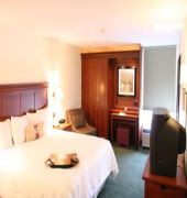 Hampton Inn Charleston-Downtown
