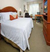 Hilton Garden Inn Detroit Downtown