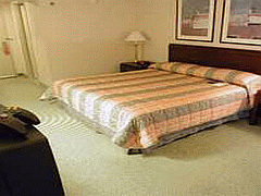 Hilton Chicago/Magnificent Mile Suites