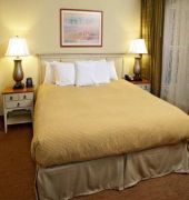 Homewood Suites St. Petersburg Clearwater