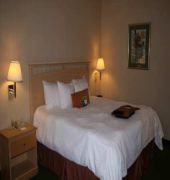 Hampton Inn Atlanta-Town Center/Kennesaw