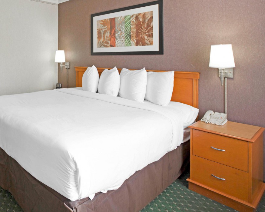 Quality Suites Mission Valley SeaWorld Area