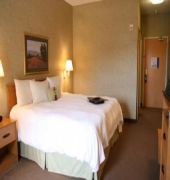 Hampton Inn & Suites Kalamazoo Oshtemo