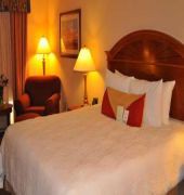 Hilton Garden Inn Houston Westbelt