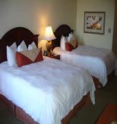 Hilton Garden Inn Knoxville West/Cedar Bluff