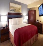 Doubletree by Hilton Tampa Airport - Westshore