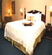 Hampton Inn Tampa/Rocky Point-Airport
