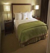 DoubleTree Suites by Hilton Hotel Tampa Bay