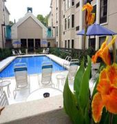 Hampton Inn & Suites Tampa-North