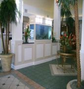 Hilton Garden Inn Orange Beach