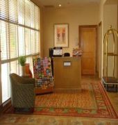 Embassy Suites by Hilton Orlando Airport