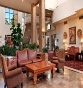 Hilton Phoenix Airport