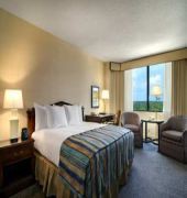Hilton Atlanta Northeast