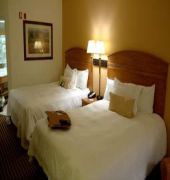 Hampton Inn Rochester