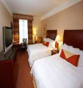 Hilton Garden Inn Rochester Downtown, MN