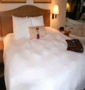 Hampton Inn Sandusky Central
