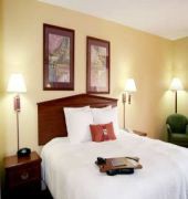 Hampton Inn Hot Springs