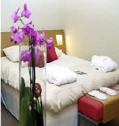 Hotel Novotel Survilliers Saint Witz