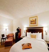 Best Western Chicagoland - Countryside