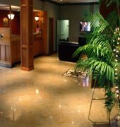 Best Western Terrace Inn