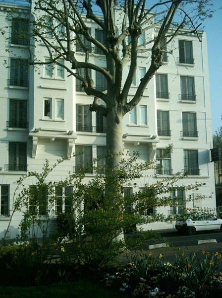 HOTEL DE LA JATTE PARIS NEUILLY