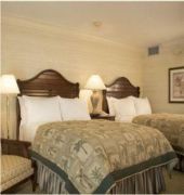 Saddlebrook Golf Resort and Spa