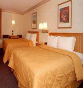 Comfort Inn