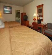 Comfort Inn & Suites San Francisco Airport North