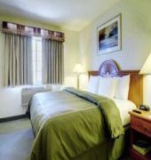 Comfort Suites Chicago Schaumburg