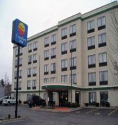 Comfort Suites University