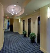 Courtyard Miami Coconut Grove