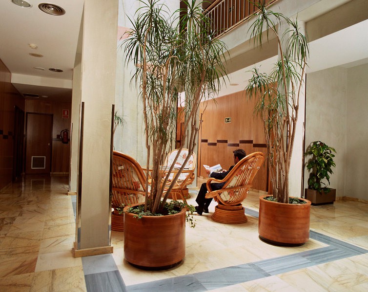 Hotel Flor Parks