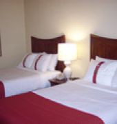 Holiday Inn Flint - Grand Blanc Area
