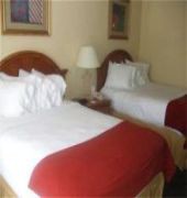 Holiday Inn Express & Suites Tampa-Anderson Rd/veterans Exp