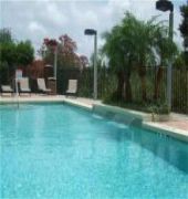 Holiday Inn Express & Suites Tampa-Anderson Rd/veterans Exp