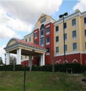 Holiday Inn Express & Suites Tampa-Fairgrounds-Casino